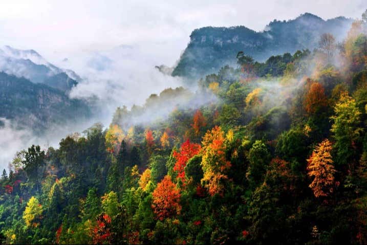 Monte Jinfoshan en otoño