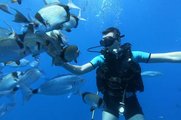 Introductory Dive at the Zenobia Shipwreck