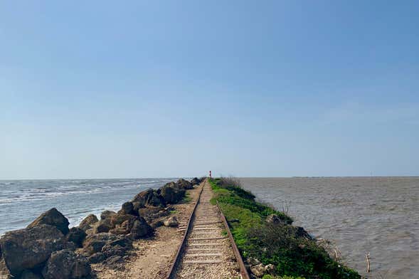 Excursión a Bocas de Ceniza