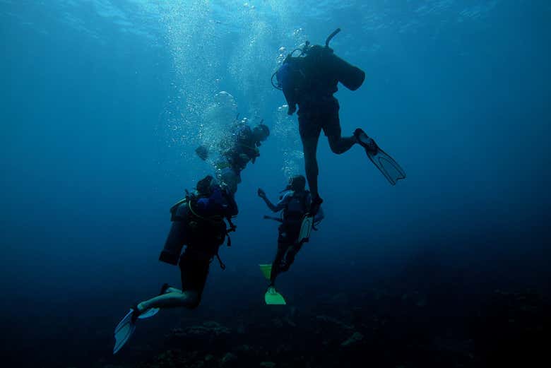 Disfrutando del curso de buceo PADI Open Water en Barú