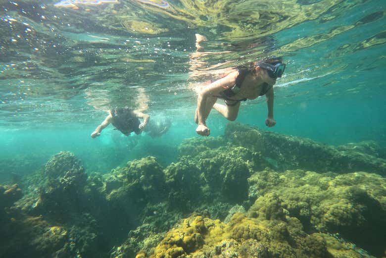 Dois jovens nadando com óculos e o tubo de snorkel em Barú