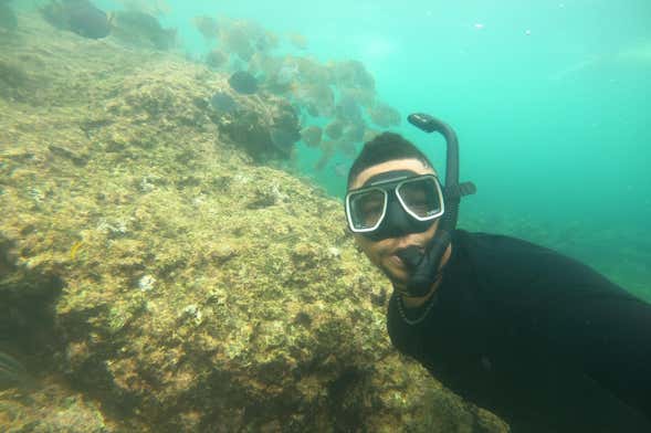 Snorkel em Barú