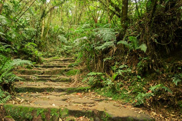 Excursión al Parque Natural Chicaque