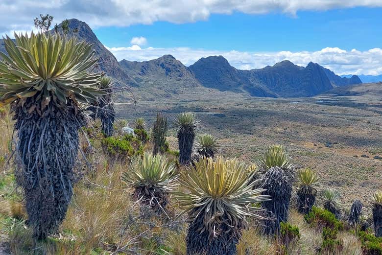 Explore the Páramo de Sumapaz