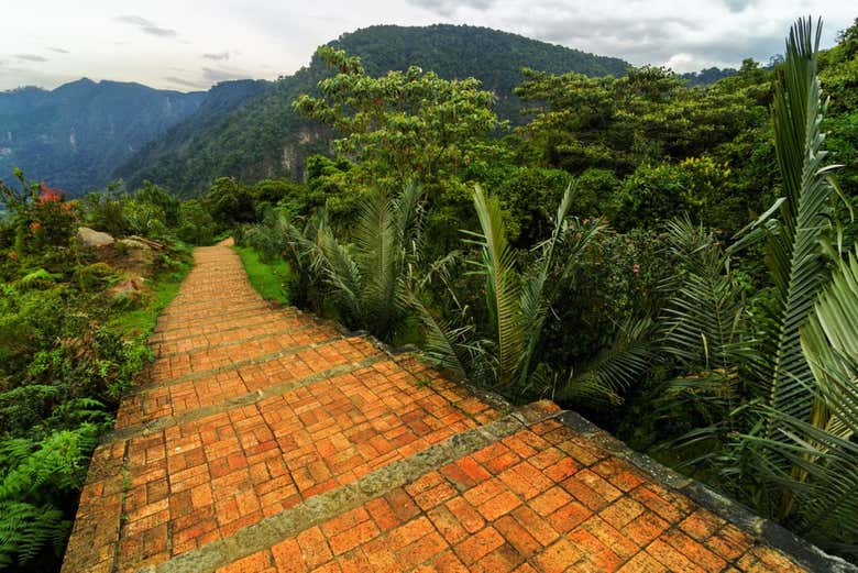 Uno de los senderos que recorre el Parque Chicaque