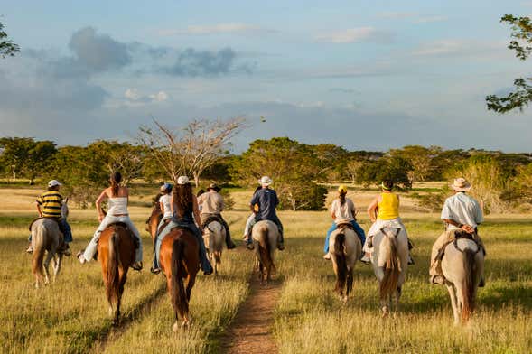 Passeio privado a cavalo pelos Cerros de Guadalupe e Monserrate