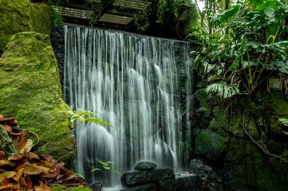 Tour por el Jardín Botánico de Bogotá