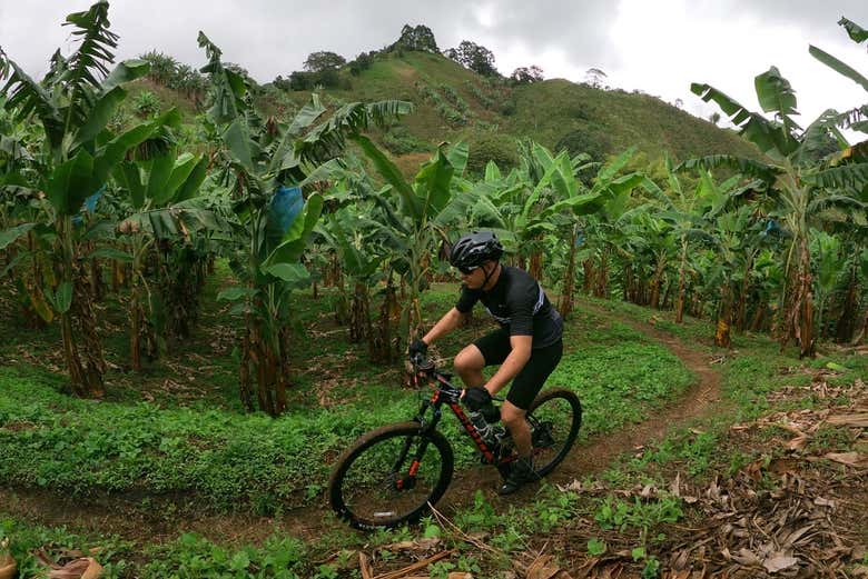 Cycling through Calarcá