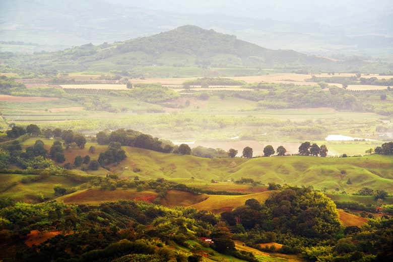 Admiring the scenery surrounding Buenavista