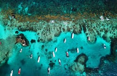 Excursión a Bora Bora Beach, Islabela y Pao Pao Beach