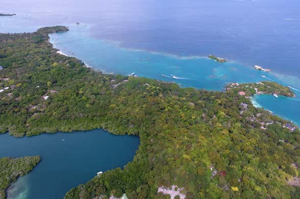 Excursion sur l'île de Cocoliso