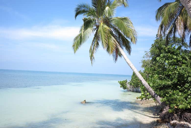 Playa en la Isla del Encanto