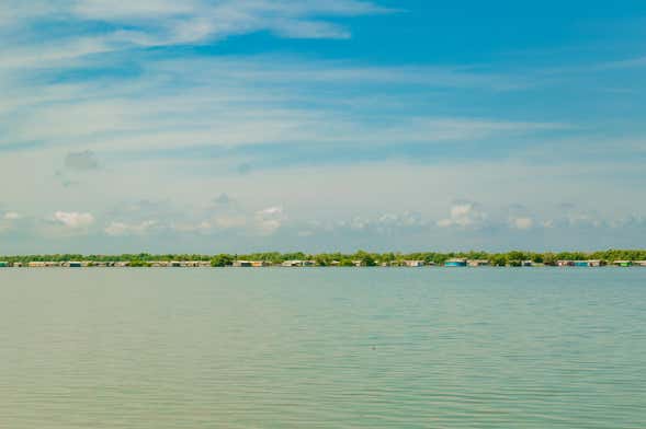 Tour por la Ciénaga Grande de Santa Marta