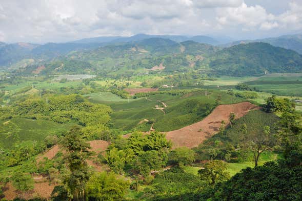 Voo privado de parapente sobre o Eixo Cafeeiro