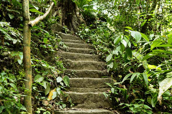 Excursión a la Ciudad Perdida de Falan