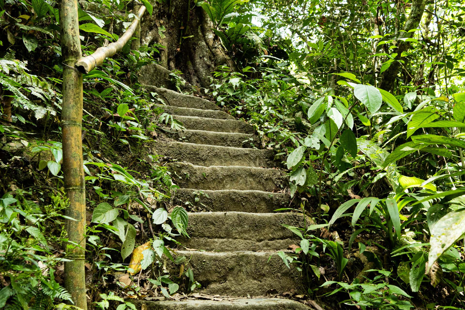 Excursión A La Ciudad Perdida De Falan Desde Ibagué