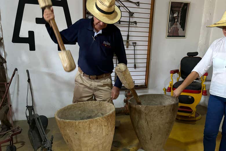 Aprendiendo sobre el arroz