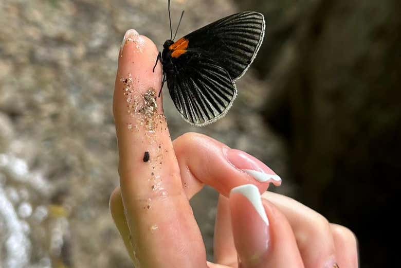 Spend the day connecting with nature