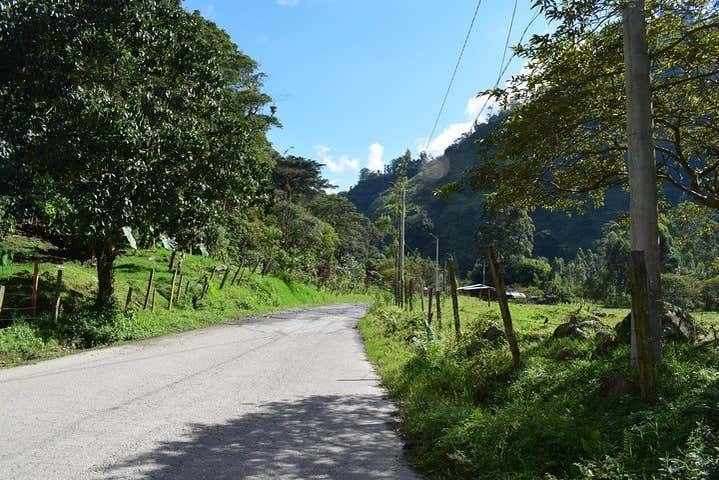 Road towards Combeima