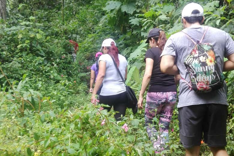 Hiking to the Secret Waterfall