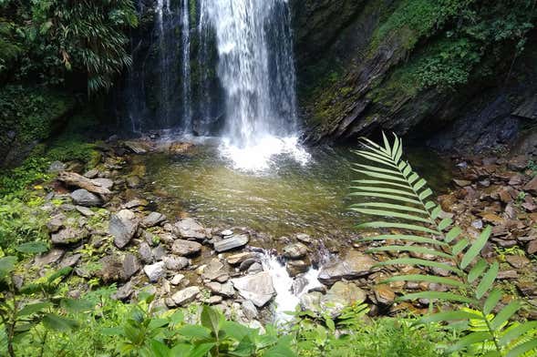 Tour privado por las cascadas del cañón del Combeima