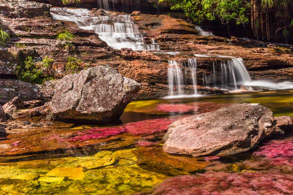 Tour de 3, 4 o 5 días por Caño Cristales y Sierra de La Macarena