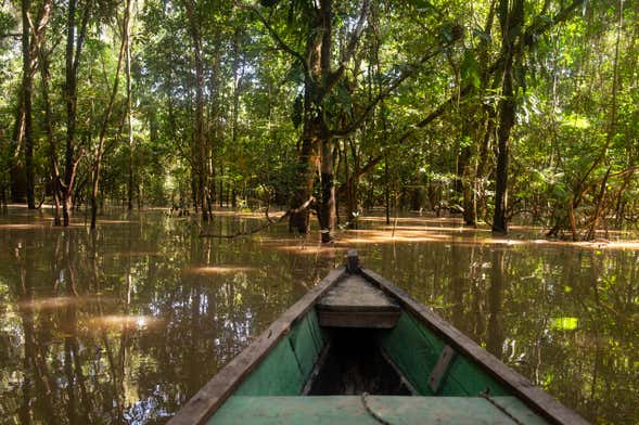 Colombian Amazon 2-Day Tour