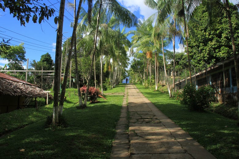 Calles de Puerto Nariño