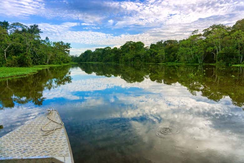 Enjoy the tranquil Amazon River