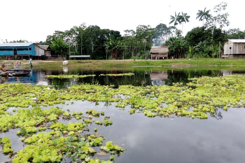 Leticia, capital del departamento de Amazonas