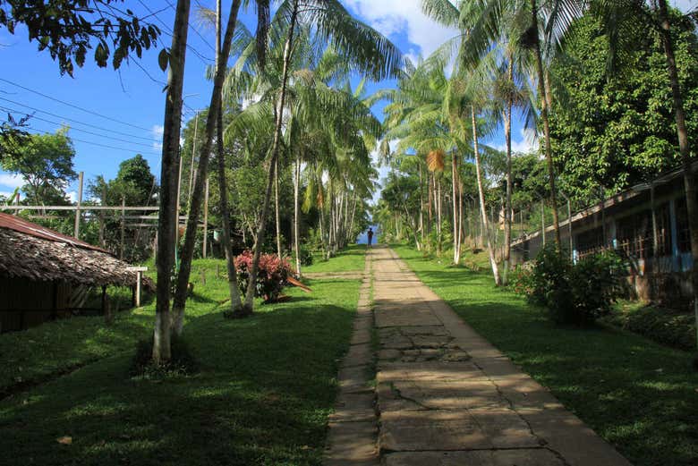 Paseo por Puesto Nariño hacia Maloca Tikuna