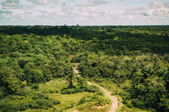 Amazon Hiking Tour