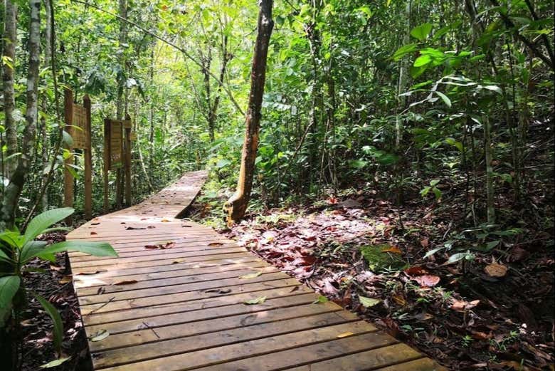 Sendero de El Guásimo