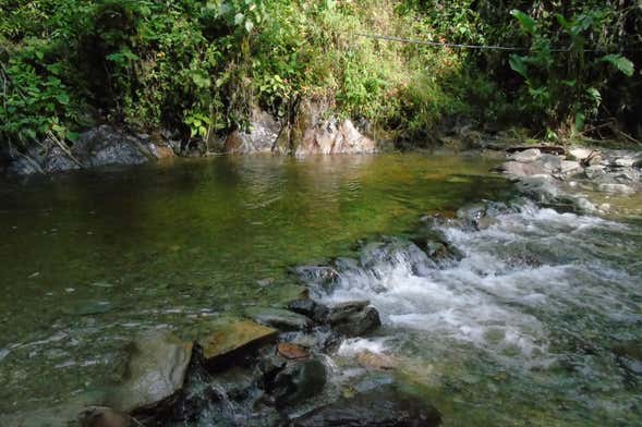 Senderismo privado por el río Cancún y las cataratas de Medina