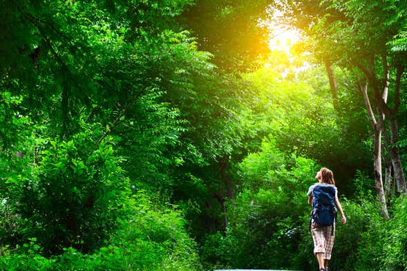 Excursión al Parque Arví