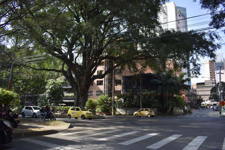 Una de las pintorescas calles de Los Laureles