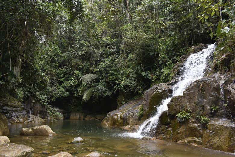 Join us for an adventure into Colombia's rainforests