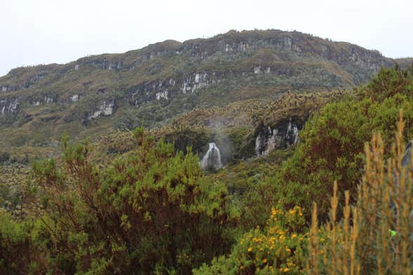 Ruta privada de senderismo por el Valle de los Frailejones