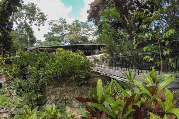 Excursión a las Termales de Rivera