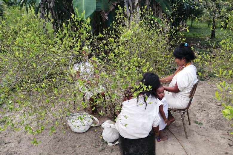 Women from the Kogi Indigenous community