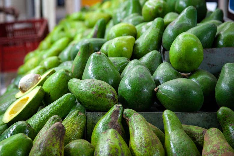 Colombian avocados