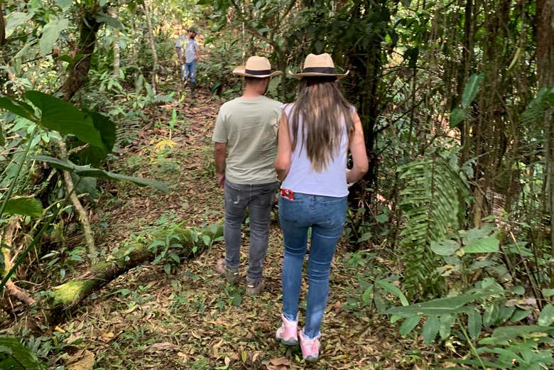 Conociendo la finca