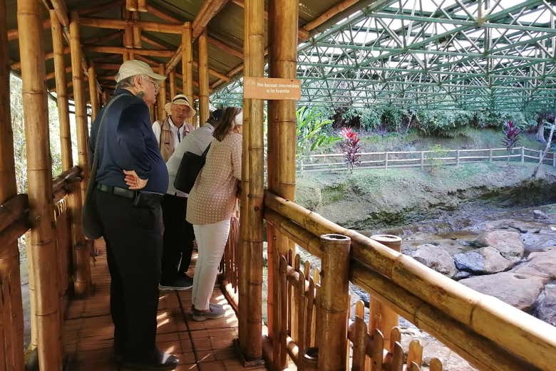 Explore the archaeological sites in San Agustín