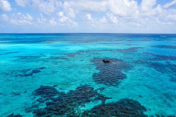 Punta Arrecife Excursion