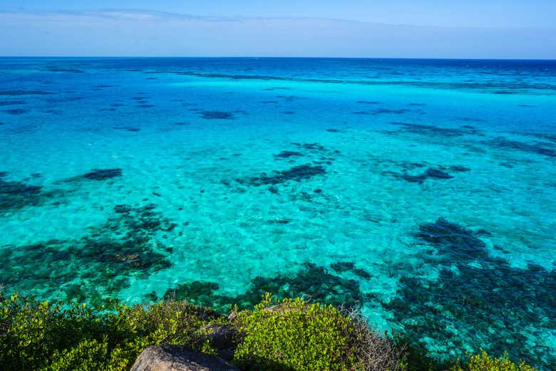 Discover the coral reefs in McBean Lagoon