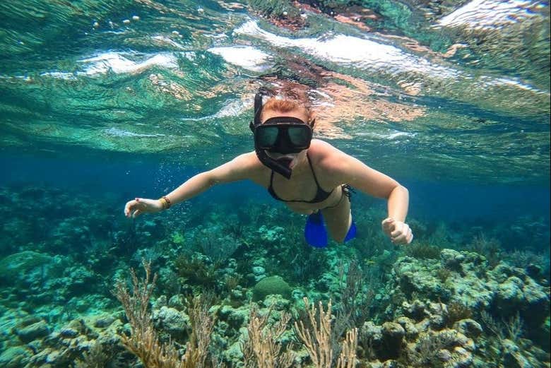 Snorkel in Providencia's crystal clear waters