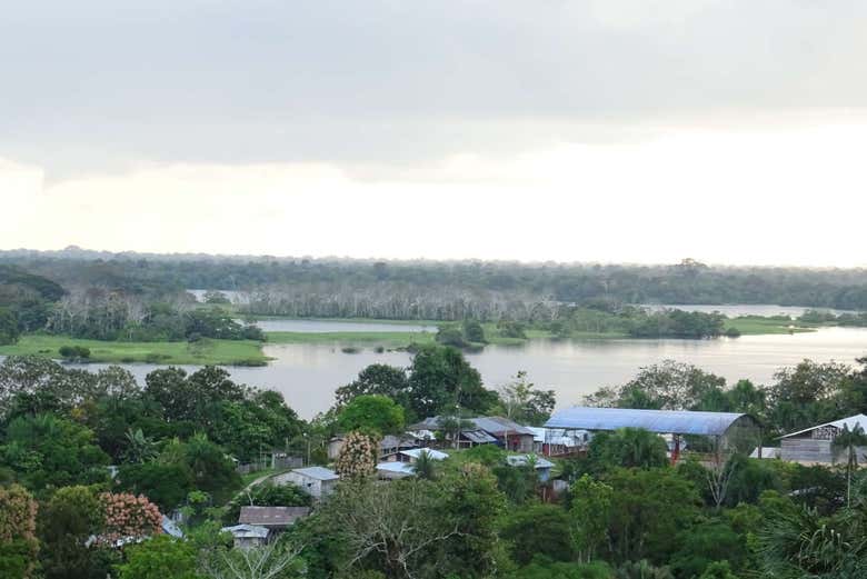 The wetlands of Tarapoto