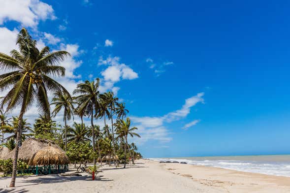 Excursión a la playa de Palomino