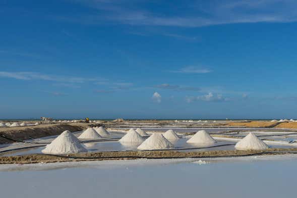 Manaure Salt Mines Tour + Wayúu Ranch