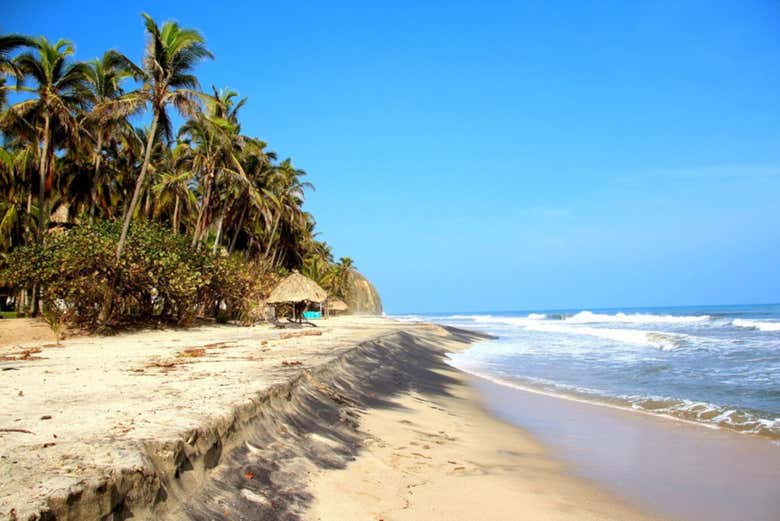 Playa de Palomino